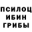 Псилоцибиновые грибы мицелий Sergei Zh