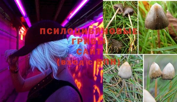 мескалин Аркадак