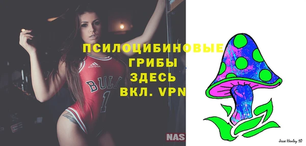 МДПВ Арсеньев