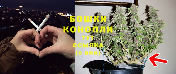 прущие грибы Балахна