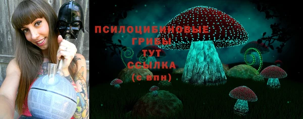 МДПВ Арсеньев