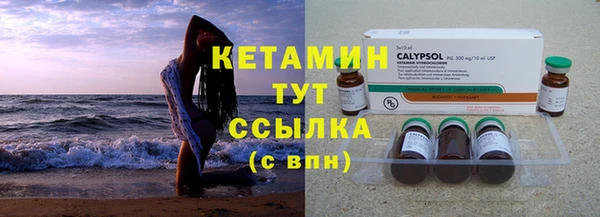 прущие грибы Балахна