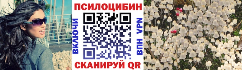 Галлюциногенные грибы мицелий kraken tor Верхняя Салда